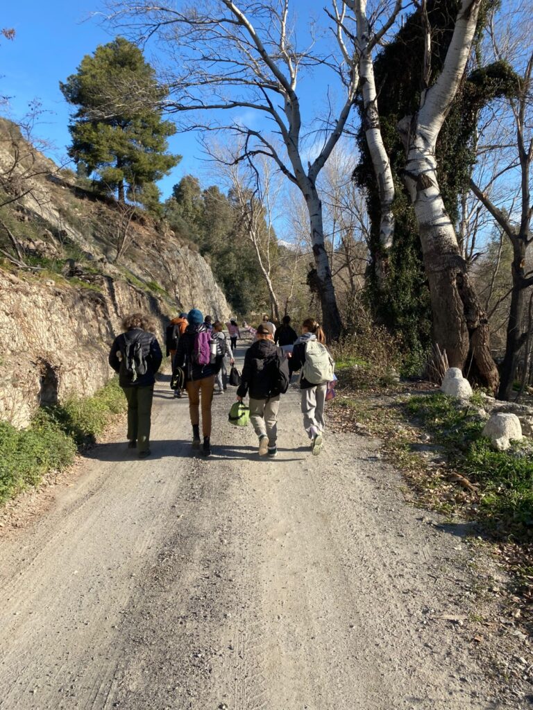 group of teenage students hiking on a trail in the woods